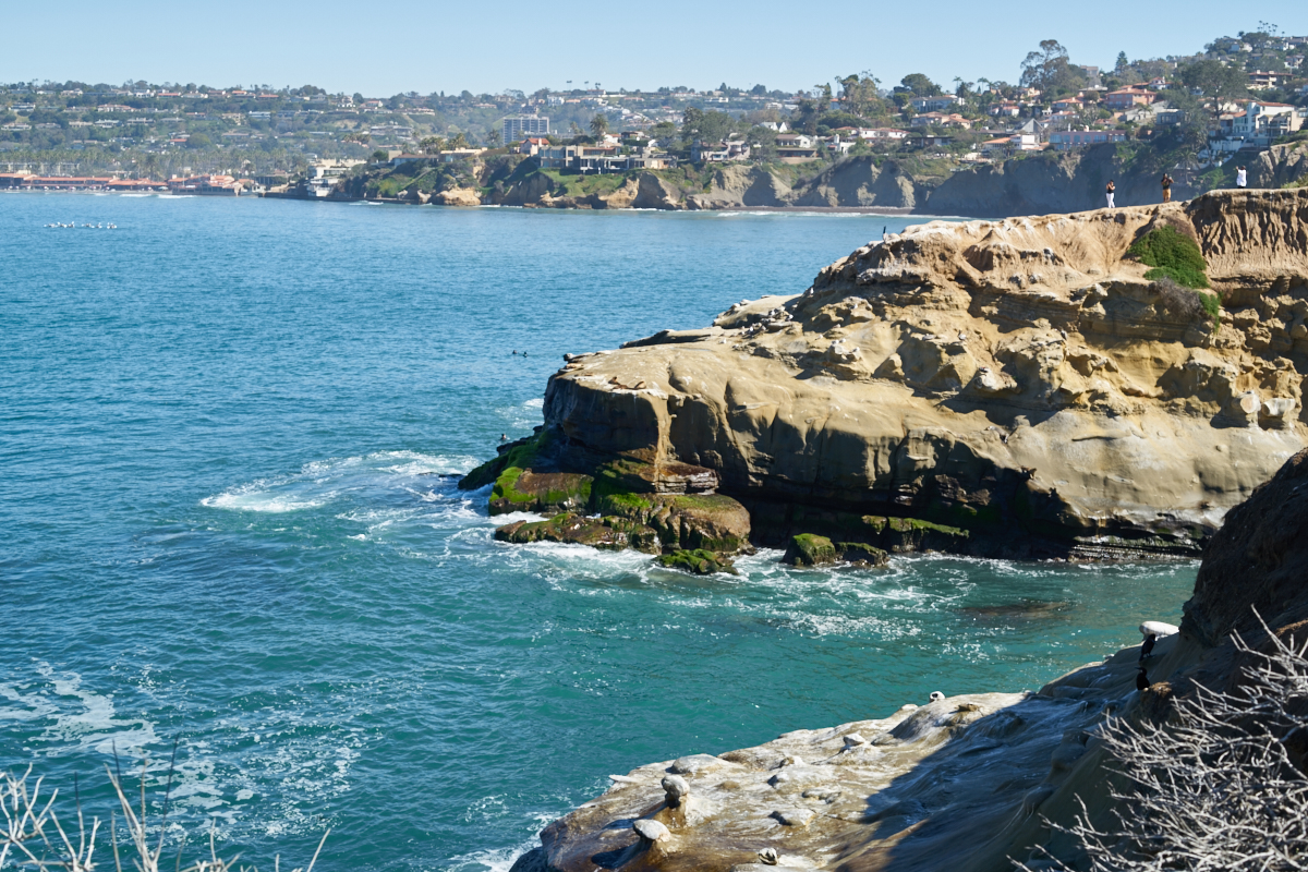 La Jolla Cove Surf 20160212